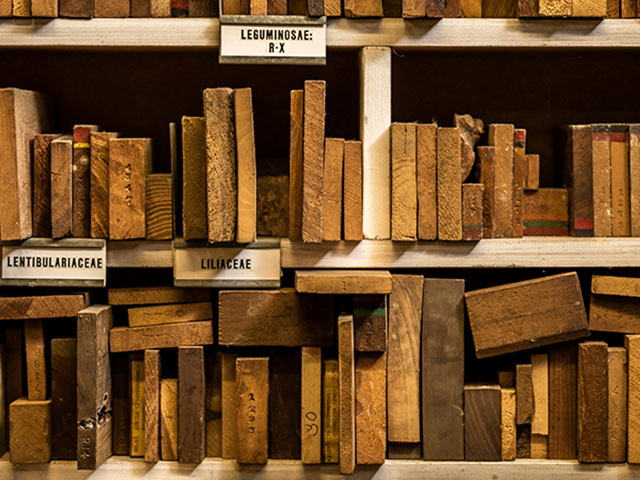 Timber industry training